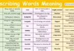 Describing Words with Meaning