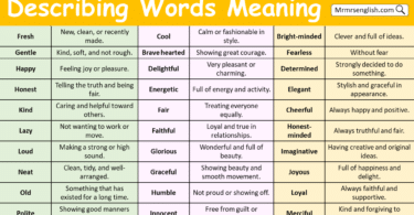 Describing Words with Meaning
