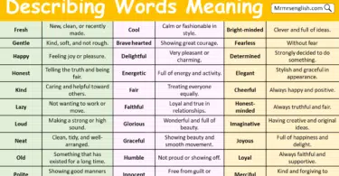 Describing Words with Meaning