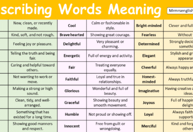 Describing Words with Meaning