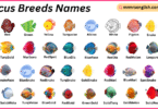 Discus Breeds Names in English with Their Pictures