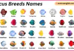 Discus Breeds Names in English with Their Pictures