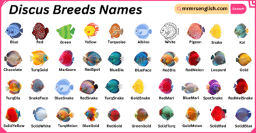Discus Breeds Names in English with Their Pictures