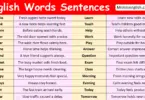 English Words with Sentences in English with Pictures