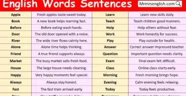English Words with Sentences in English with Pictures