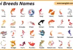 Koi Breeds Names in English with Their Pictures