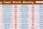 Long Vowel Words Meaning