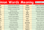 Opinion Words with Meaning