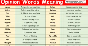 Opinion Words with Meaning