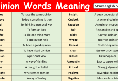 Opinion Words with Meaning