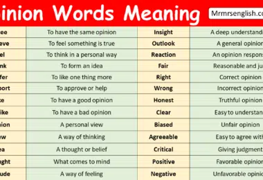 Opinion Words with Meaning