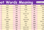 Root Words with Meaning