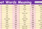Root Words with Meaning