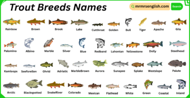 Trout Breeds Names in English with Their Pictures