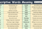 Descriptive Words with Meanings