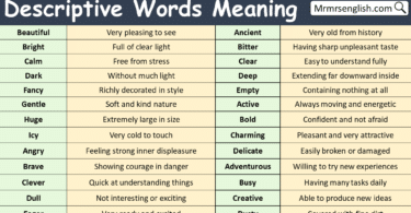 Descriptive Words with Meanings