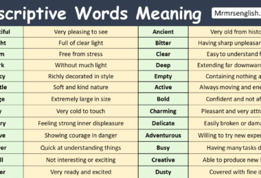 Descriptive Words with Meanings