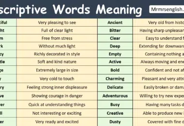Descriptive Words with Meanings
