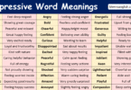 Expressive Word Meanings with Picture