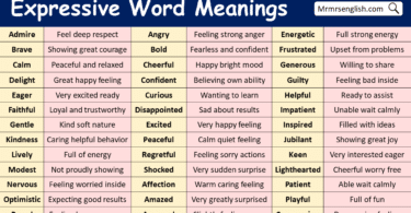 Expressive Word Meanings with Picture