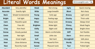 Literal Words with Meanings in English