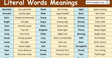 Literal Words with Meanings in English