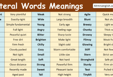 Literal Words with Meanings in English