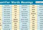 Quantifier Words with Meanings