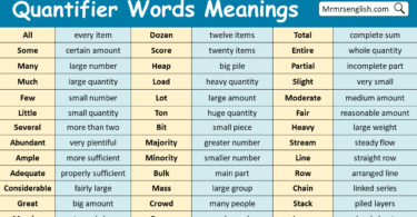 Quantifier Words with Meanings