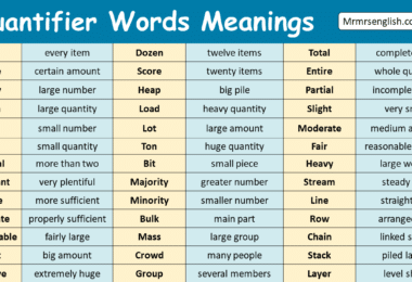 Quantifier Words with Meanings