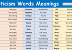 Criticism Words in English