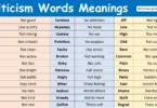 Criticism Words in English