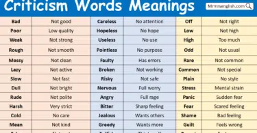 Criticism Words in English