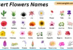 Desert Flowers Names in English with Their Pictures