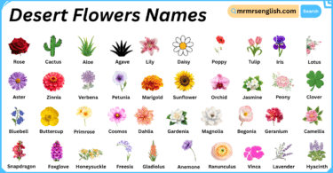 Desert Flowers Names in English with Their Pictures