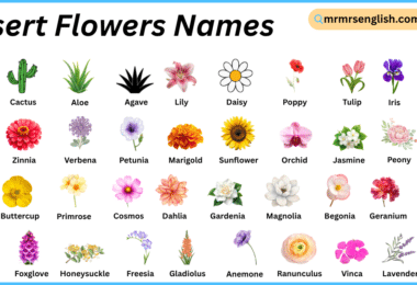 Desert Flowers Names in English with Their Pictures
