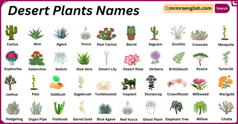 Desert Plants Names in English with Their Pictures