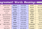 Disagreement Words in English