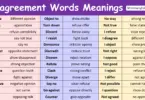 Disagreement Words in English
