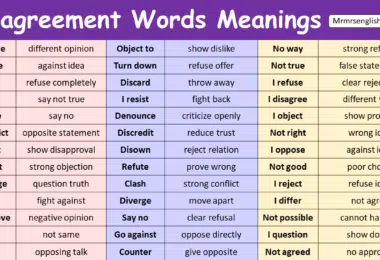 Disagreement Words in English