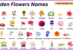 Garden Flowers Names in English with Their Pictures