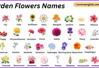 Garden Flowers Names in English with Their Pictures