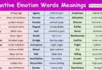 Negative Emotion Words with Meanings