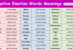 Negative Emotion Words with Meanings