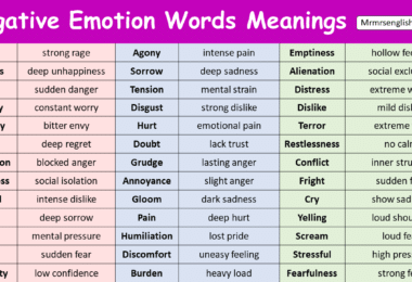 Negative Emotion Words with Meanings