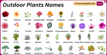 Outdoor Plants Names in English with Their Pictures