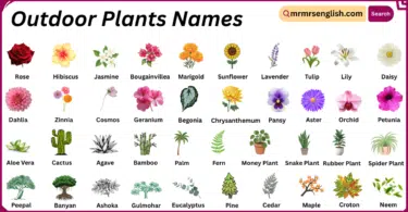 Outdoor Plants Names in English with Their Pictures