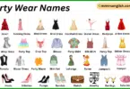 Party Wear Names in English with Their Pictures