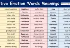 Positive Emotion Words in English