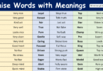 Praise Words with Meanings